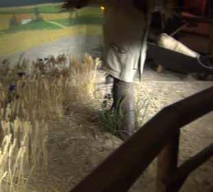 Alles für Nase und Gaumen