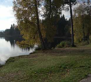 Windgfällweiher