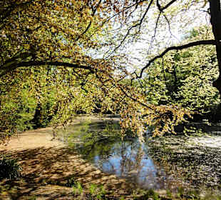 Teiche im Park Höpkensruh