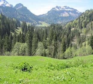 Ausblick vom Rundwanderweg