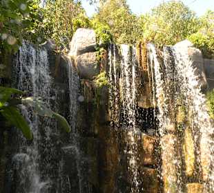 Dschungel im Außenbereich