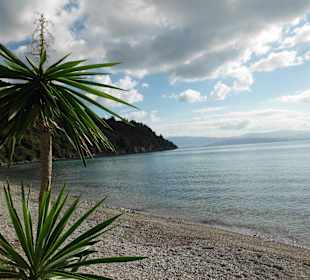 Beach in Ipsos/Dasia