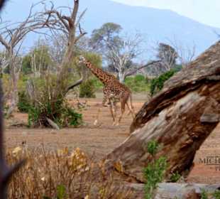 Ausblick von unserem Zelt