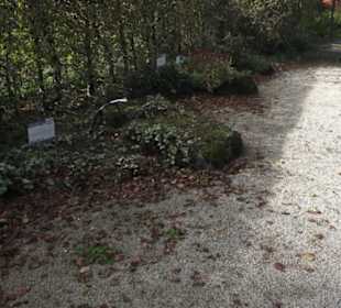 Kneipp`scher Sinnesgarten