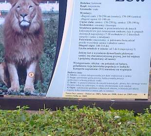Warszawskie ZOO latem.