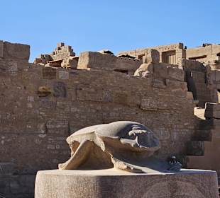 Skarabeus Karnak Tempel 