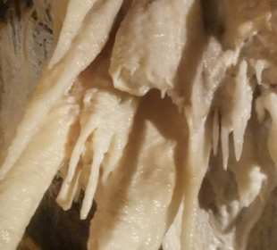 Obir Tropfsteinhöhlen