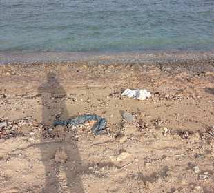 So sieht der Strand aus