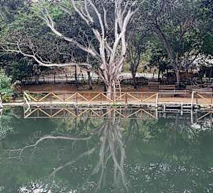 Laguna de agua sulfurosa