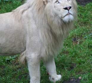 Die Jungs bei der Fütterung