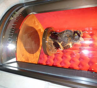 Barcelona магазин Луи Витон