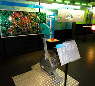 Windmaschine zur Simulation der Bestäubung