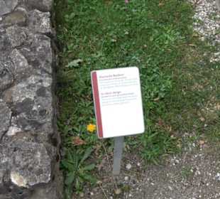 Gallorömischer Tempelbezirk