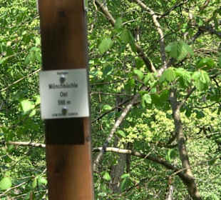 Premiumwanderweg Hochgehschätzt