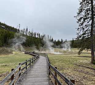 Yellowstone Nationalpark
