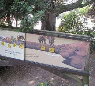 Zoo Heidelberg