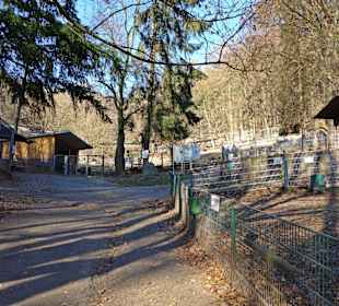 Bergtierpark Odenwald