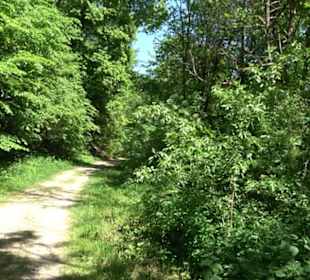 Wiesaztal Gönningen