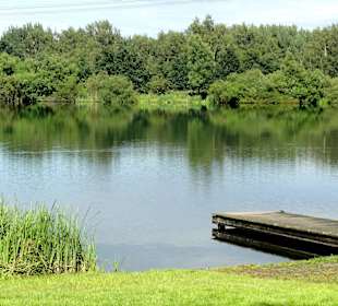 Blick über den Waller Feldmarksee