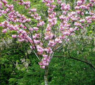 Park Giardini Margherita