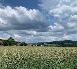Wandern Rimbach