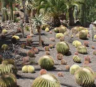 Kakteenpark