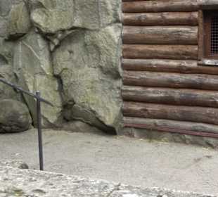 Tierpark Hellabrunn - Polarwelt