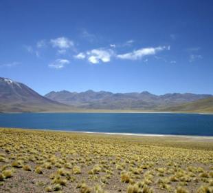 Laguna Miscanti