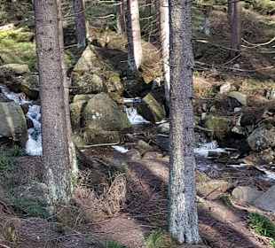 Wanderung Brocken