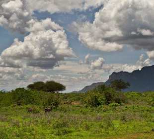 Der Himmel zum greifen nah, Tsavo West Nationalpark