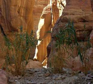 Von Dahab nach Petra/Jordanien