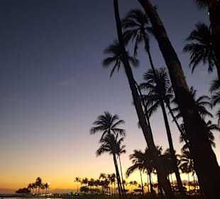 Waikiki Beach Hilton Hawaiian Village