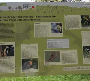 Wanderweg Firstwaldrunde