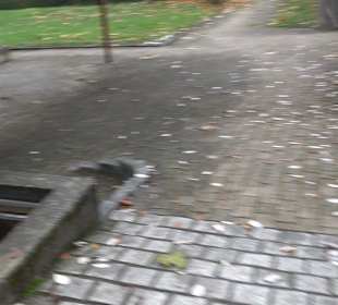 Friedhof Kappishäusern