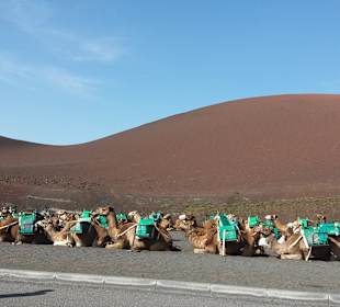 Nationalpark Timanfaya (Feuerberge)