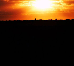 Sonnenaufgang Masei Mara