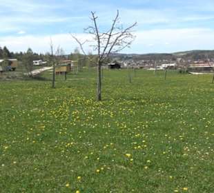 Premiumspazierwanderweg - Hochgehhütet