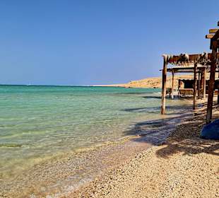 Orange Bay Delfin Tour und Schnorcheln 