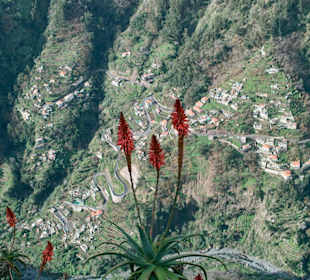 Blick aufs Nonnental