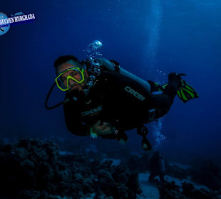 Tauchschule Hurghada