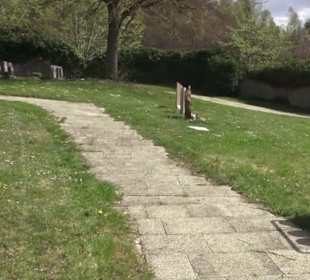 Friedhof Buttenhausen