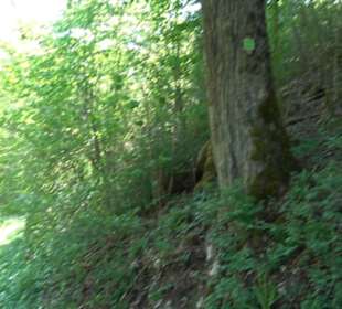 Premiumwanderweg Hochgehschätzt