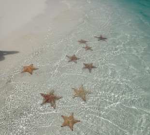 Cayo Largo
