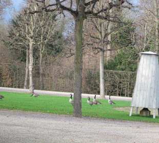 Schlosspark Schwetzingen im Winter