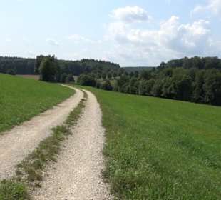 Premiumwanderweg "hochgesprudelt"