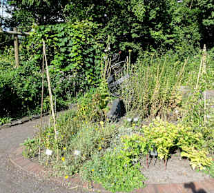 Rundgang durch den Botanischen Garten Oldenburg