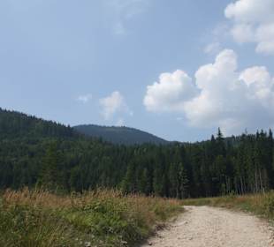 Parcul Natural Apuseni