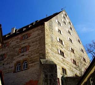 Der Neubausaal, viele Fenster