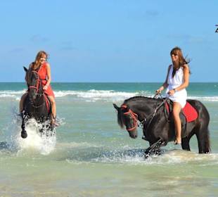 Reiten auf Djerba, Reiterferien am Strand, Zitouna