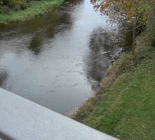 Donaubrücke Zwiefaltendorf